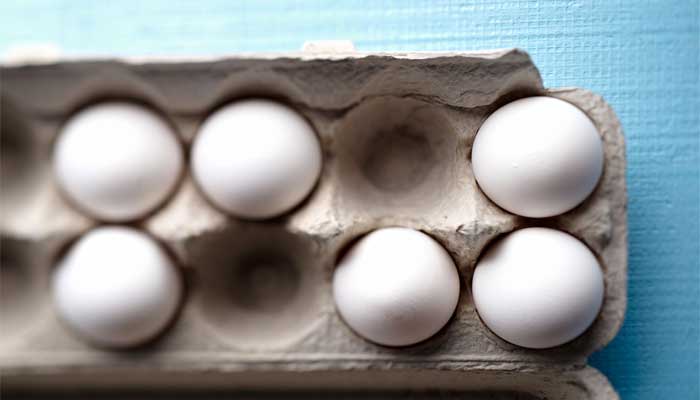 US FDA issues massive egg recall over potential Salmonella contamination
