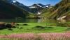 آزاد کشمیر میں ڈیڑھ ماہ بعد انٹرنیٹ سروس بحال ہونا شروع 