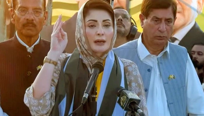 فوٹو: اسکرین گریب