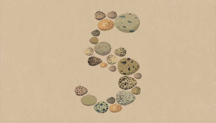 Anthropic releases Claude Opus 5 with cutting-edge features