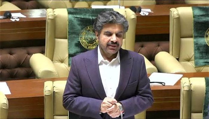 سید ناصر حسین شاہ(فائل فوٹو)۔