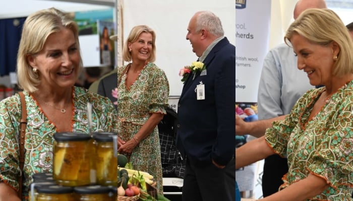 Duchess Sophie attends special engagement in Wales after her emotional video message