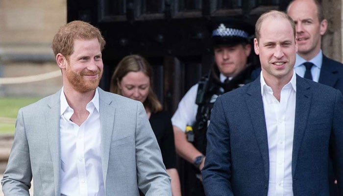 Prince Harry makes emotional request to Prince William after painful realization
