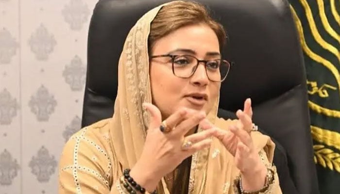 عظمیٰ بخاری— فائل فوٹو