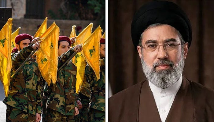 کولاج فوٹو: فائل