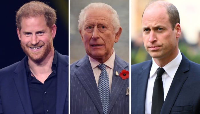 Prince Harry plans to tug at Charles’ heartstrings as King ‘irritated’ with William