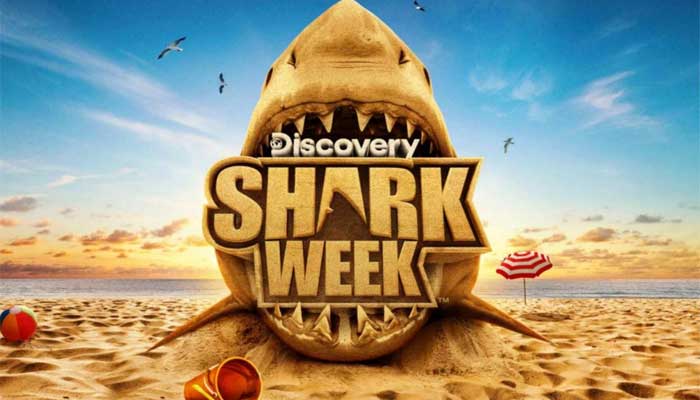 Shark Week 2026: Where to watch, stream and what’s new this year