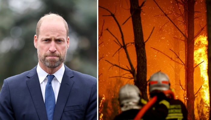 Prince William issues ‘stark reminder’ as devastating wildfires ravage UK, Europe