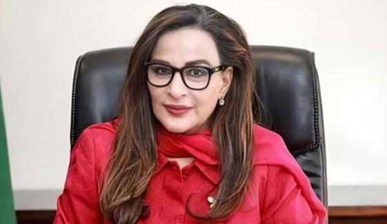 نکیال میں فائرنگ سے پی پی کارکن کی شہادت انتہائی افسوسناک ہے، شیری رحمان