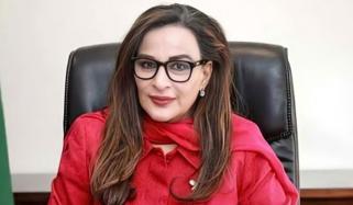 نکیال میں فائرنگ سے پی پی کارکن کی شہادت انتہائی افسوسناک ہے، شیری رحمان