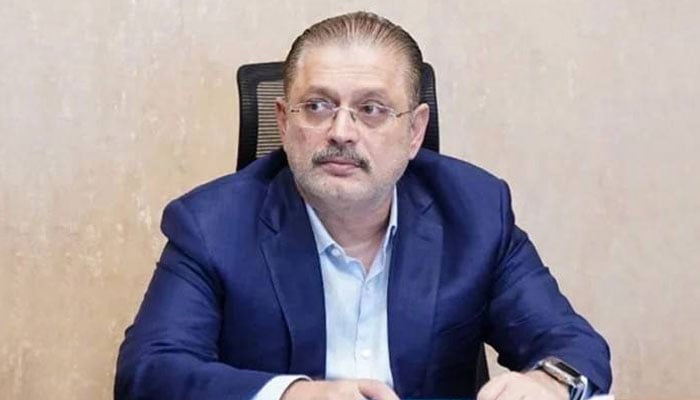 2024 کے الیکشن میں آپ کو بدترین شکست ہوئی اور سندھ کے عوام نے پیپلز پارٹی کو ووٹ دیے، شرجیل میمن - فوٹو: فائل