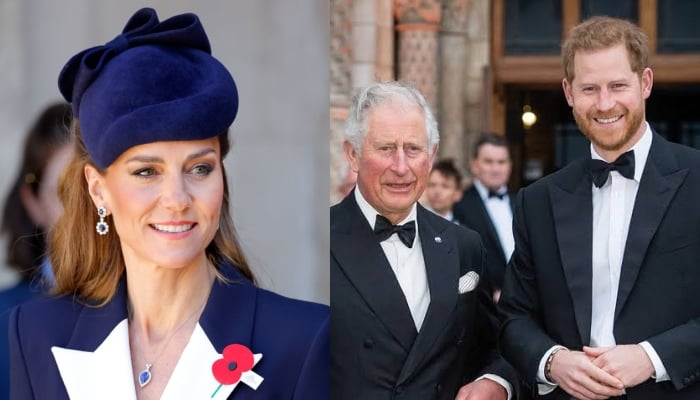 Kate Middleton reiterates key message amid King Charles, Prince Harrys warming ties