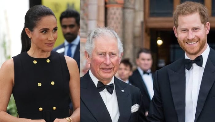 Meghan Markle reaches major milestone after Harrys decision on King Charles big offer