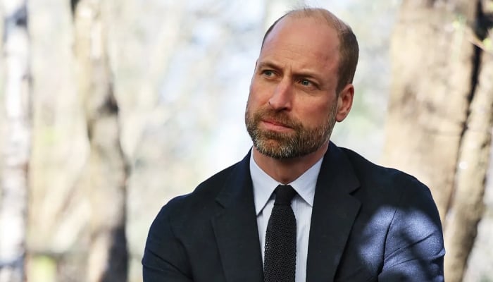 Prince Williams drastic Windsor move during Prince Harrys UK visit unveiled: What to know