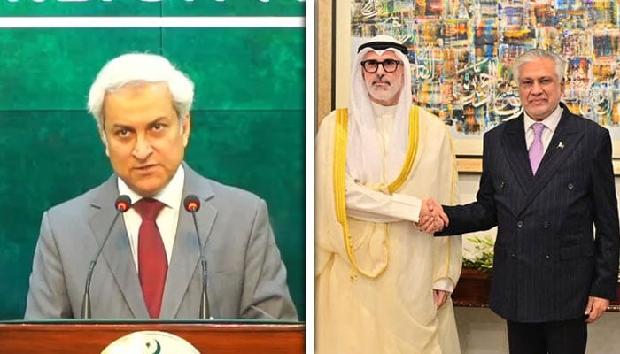 کولاج فوٹو: سوشل میڈیا