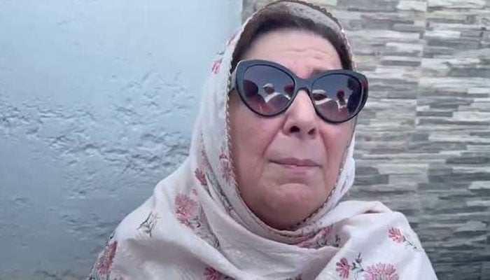 نورین نیازی— فائل فوٹو