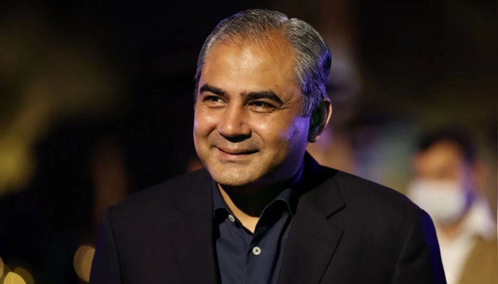 اگر ہمارا نظام ٹھیک نہیں ہوگا تو کوئی فائدہ نہیں، محسن نقوی - فوٹو: فائل