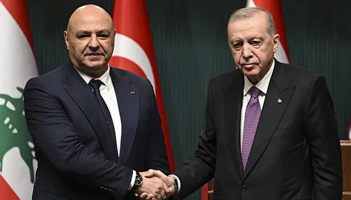 لبنان میں اسرائیلی کارروائیاں انسانیت کے خلاف سنگین جرم ہیں، صدر اردوان