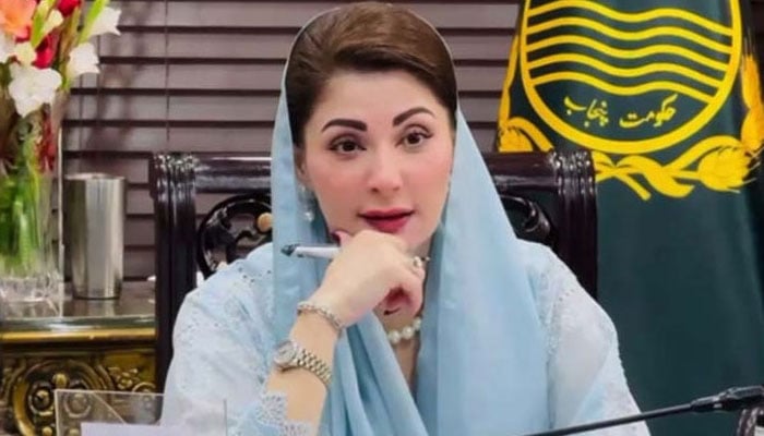 وزیرِ اعلیٰ پنجاب مریم نواز— فائل فوٹو