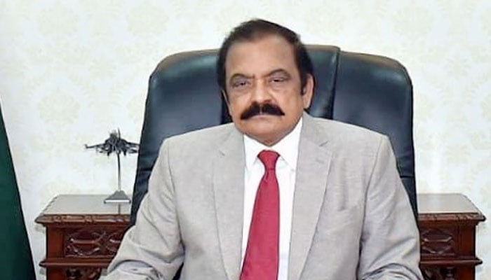 ہنگامہ اس لیے کروایا تاکہ کشیدگی ہو اور اس سے شہر میں خوف وہراس پھیلے، رانا ثناء اللّٰہ - فوٹو: فائل