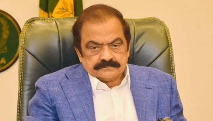 وزیرِ اعظم کے مشیر برائے سیاسی امور سینیٹر رانا ثناء اللّٰہ—فائل فوٹو