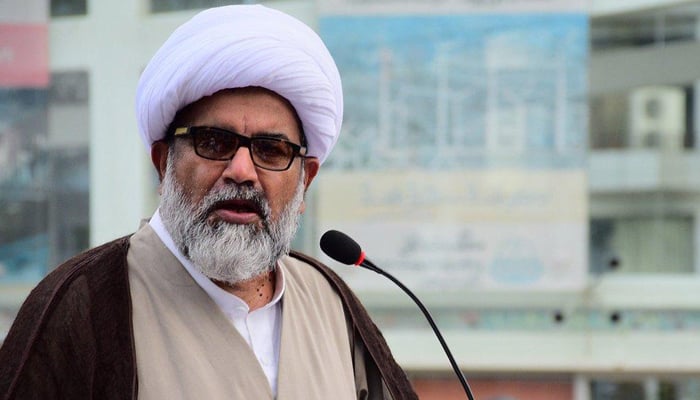 سینیٹ میں اپوزیشن لیڈر راجہ ناصر عباس—فائل فوٹو