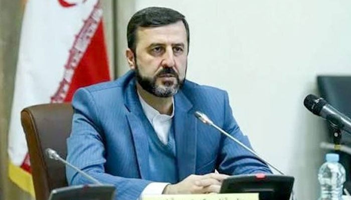 ایران عمان مفاہمت کا مطلب ہرمز مکمل کھولنا نہیں، کاظم غریب آبادی