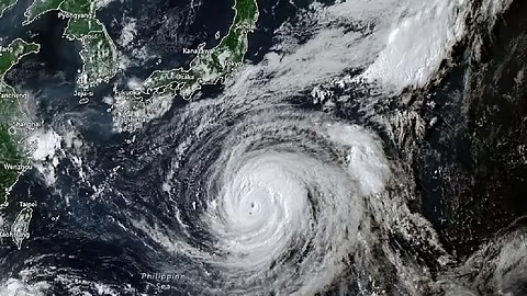 Typhoon Dolphin