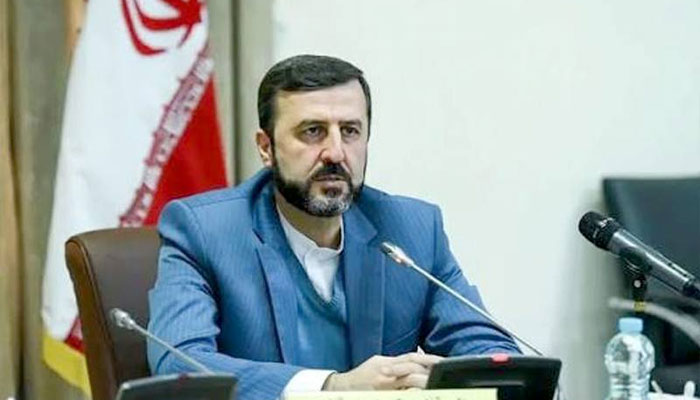 ایران امریکا کی دھمکیوں یا طاقت سے مرعوب نہیں ہوگا، کاظم غریب آبادی