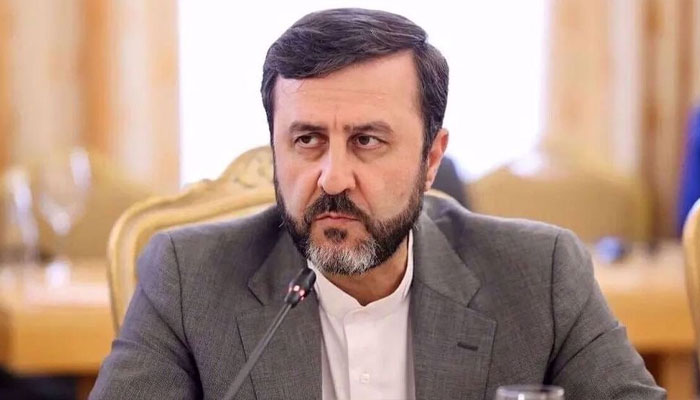 نائب ایرانی وزیرِ خارجہ کاظم غریب آبادی — فائل فوٹو