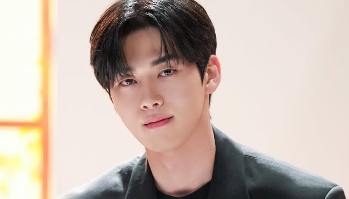 Hong Mingi hit with dating violence, dog abuse claims ahead of Study Group 2 release: What we know