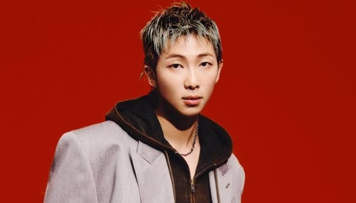 BTS RM kicked out of The Pixel Projects role model list after Chris Brown concert fury