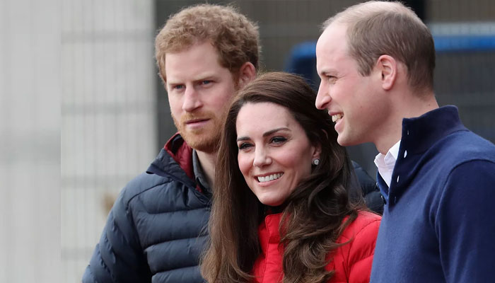 Kate Middleton issues stern warning to Harry, William before Duke resumes UK life