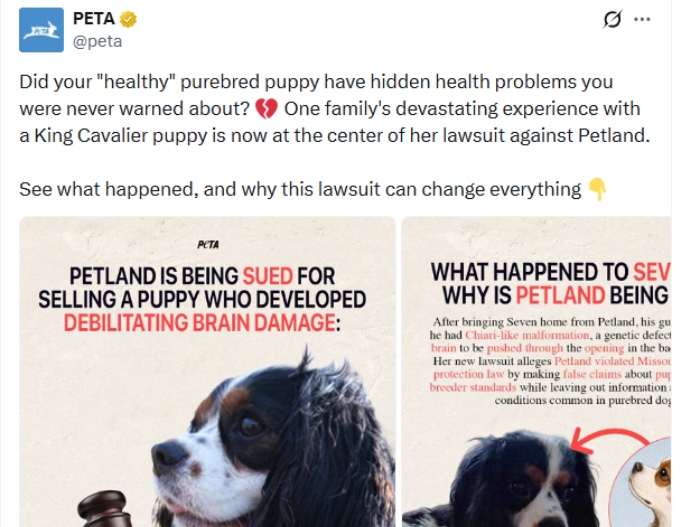 P.C. PETA/X formerly known as Twitter
