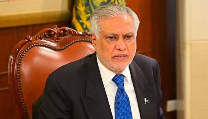 قزاقوں کی تاوان دینے کی بات نہیں مانی جاسکتی، اسحاق ڈار
