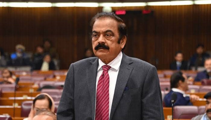 وزیرِ اعظم شہباز شریف کے مشیر برائے سیاسی امور رانا ثناء اللّٰہ—فائل فوٹو