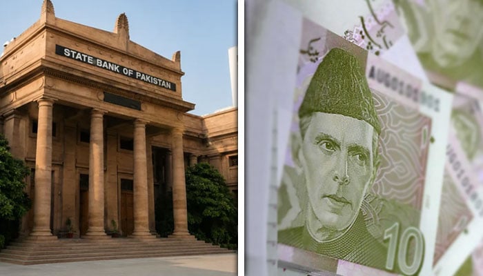 سینیٹ کمیٹی برائے خزانہ اجلاس: 10 روپے کا کرنسی نوٹ ختم کرنے پر غور کر رہے ہیں، ڈپٹی گورنر اسٹیٹ بینک کی بریفنگ