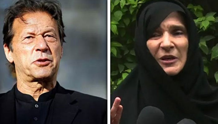 کولاج فوٹو: فائل