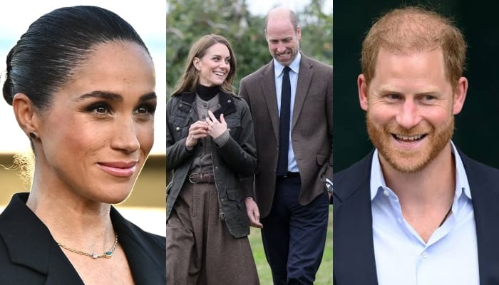 Meghan Markle shares cryptic remark after Kates fear over William, Harry reconciliation