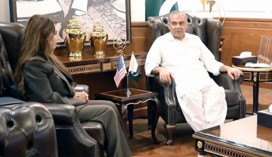 وزیر داخلہ سے امریکی ناظم الامور نیٹلی بیکر کی ملاقات، خطے کی صورتحال پر تبادلہ خیال وزیر داخلہ سے امریکی ناظم الامور نیٹلی بیکر کی ملاقات، خطے کی صورتحال پر تبادلہ خیال