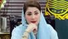 سوئٹزرلینڈ کی عالمی ماحولیاتی تنظیم کی وزیراعلیٰ پنجاب مریم نواز کے اقدامات کی تعریف