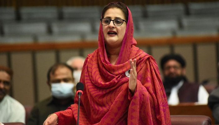 مہرین رزاق بھٹو— فائل فوٹو