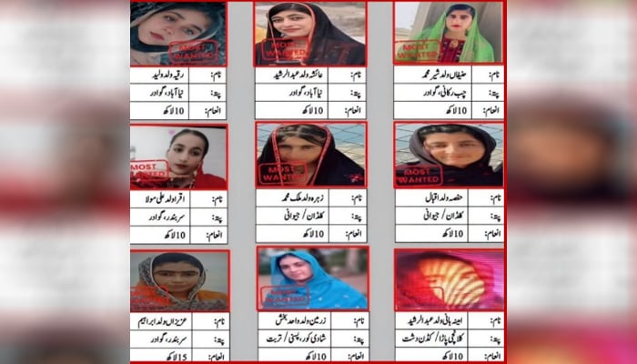 ---تصویر بشکریہ سوشل میڈیا