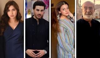 پمز آتشزدگی پر شوبز شخصیات برہم، ذمے داروں کے احتساب کا مطالبہ