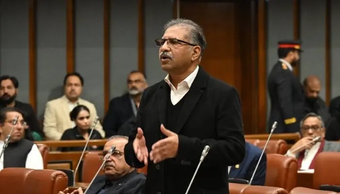 سینیٹر علی ظفر---فائل فوٹو