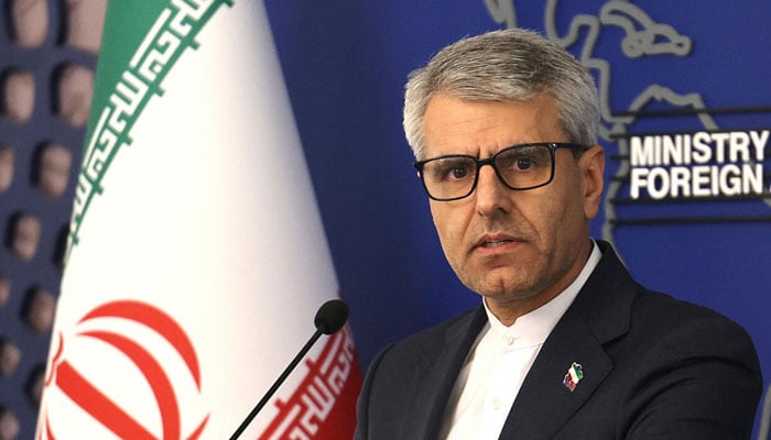 ترجمان ایرانی وزارت خارجہ، اسماعیل بقائی