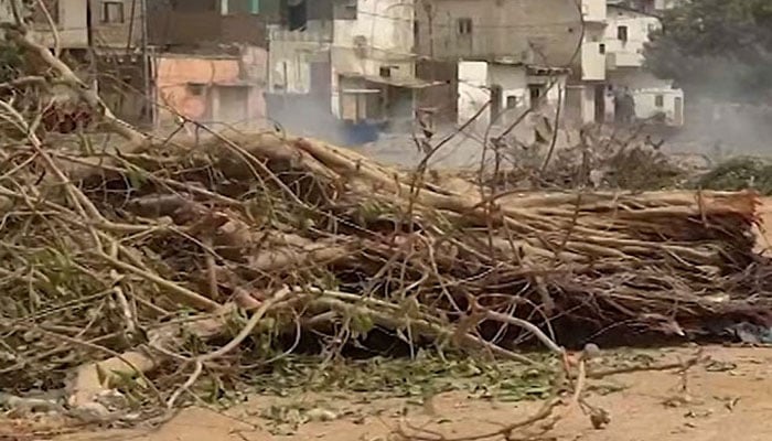 کے ڈی اے کا کورنگی 6 میں قدیم درخت کاٹنے پر مقدمہ درج کروانے سے انکار
