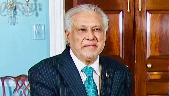 نائب وزیراعظم و وزیر خارجہ اسحاق ڈار۔فوٹو: فائل