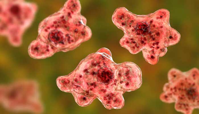 North Carolina teen battles rare brain-eating amoeba infection