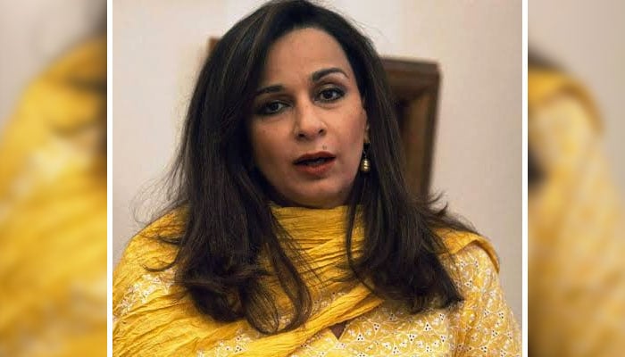 سینیٹر شیری رحمٰن---فائل فوٹو